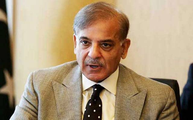 ڈینگی کی وبا پھیلنے پر میاں شہباز شریف کا ٹویٹ