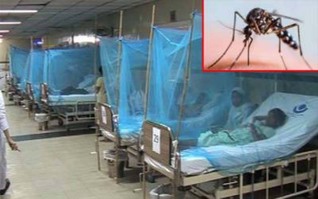 ڈینگی کے حملے جاری، مزید 4 شہریوں میں ڈینگی وائرس کی تصدیق