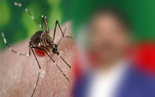 پنجاب کے اہم وزیر کو بھی ڈینگی ہوگیا 