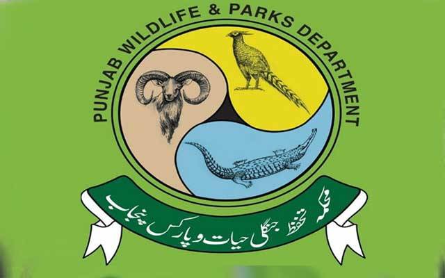 محکمہ جنگلی حیات بھی محکمہ متروکہ وقف املاک کے ریڈار پر آگیا