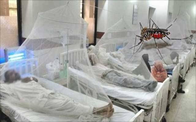  حکومتی کوششوں کے باوجود ڈینگی بے قابو، 11 نئے مریض رپورٹ