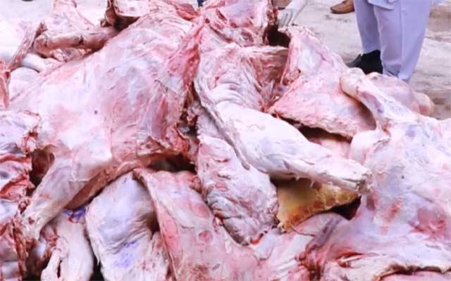  بیمار، لاغر جانوروں کو ذبح کرنے کا مکروہ کاروبار بے نقاب