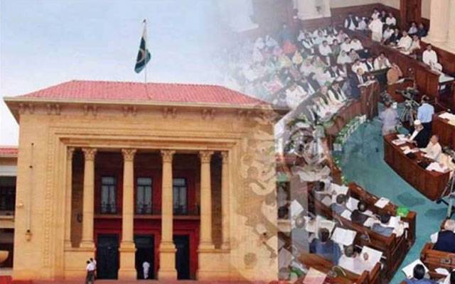 لاہور میں کوڑے کے ڈھیر، گندگی کی گونج پنجاب اسمبلی تک پہنچ گئی