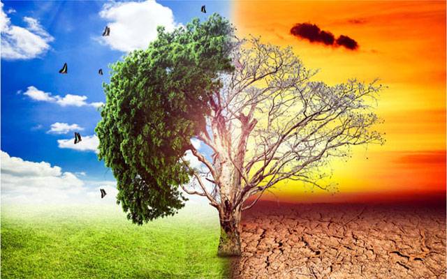 ماحولیاتی تبدیلیوں سے متعلق پالیسی تشکیل دینے کا اصولی فیصلہ