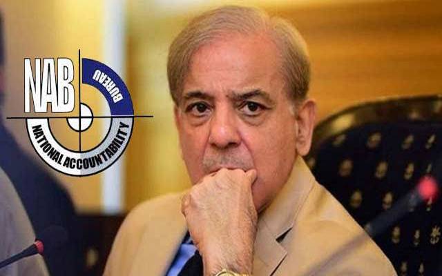 شہباز شریف فیملی کے فرنٹ مین بارے مزید انکشافات