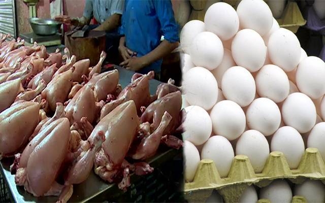 برائلر کی قیمت میں مزید کمی،فارمی انڈوں میں اضافہ