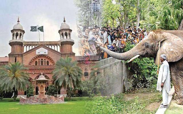 چڑیا گھر کو شہر سے باہر منتقلی کے معاملے پر ڈی جی سے جواب طلب