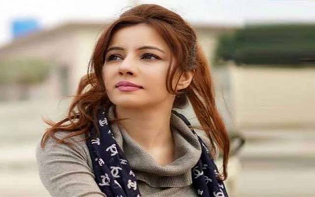 سانپ، مگر مچھ پالنے کا کیس، رابی پیر زادہ نے بریت کی درخواست دائر کر دی