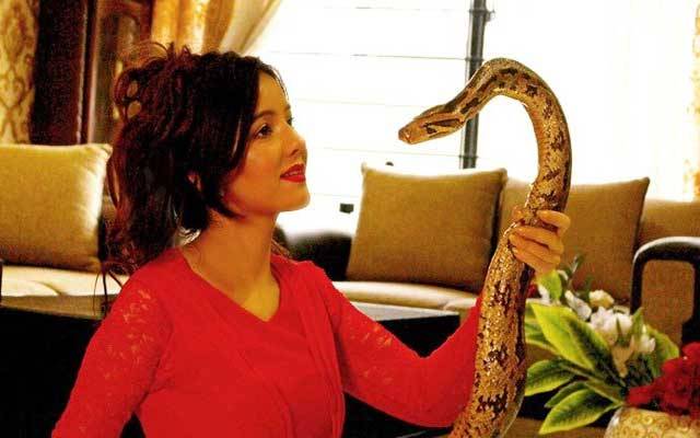 عدالت نے رابی پیرزادہ کے جنگلی جانور پالنے کے کیس پر فیصلہ سنا دیا