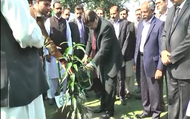 سول سیکرٹریٹ میں شجر کاری مہم کا افتتاح