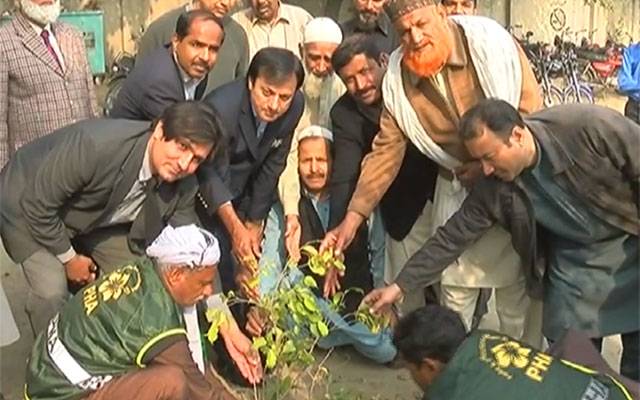  گورنمنٹ بوائز ہائی سکول ٹاؤن شپ میں شجر کاری مہم کا آغاز