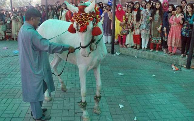 اسلامیہ کالج میں جشن بہاراں کا انعقاد