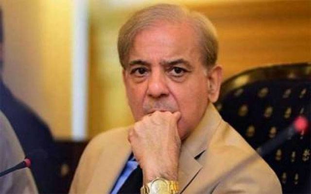 شہباز شریف وطن واپس آئیں، لیگی رہنماؤں کا مطالبہ