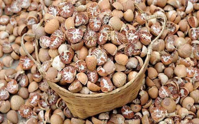 کسٹمز کی کارروائی، کروڑوں روپے مالیت کا سمگل شدہ چھالیہ ضبط