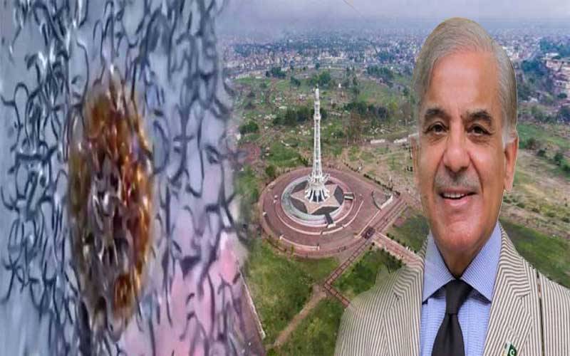 کورونا وائرس، لاہوریوں کو شہباز شریف کی یاد ستانے لگی