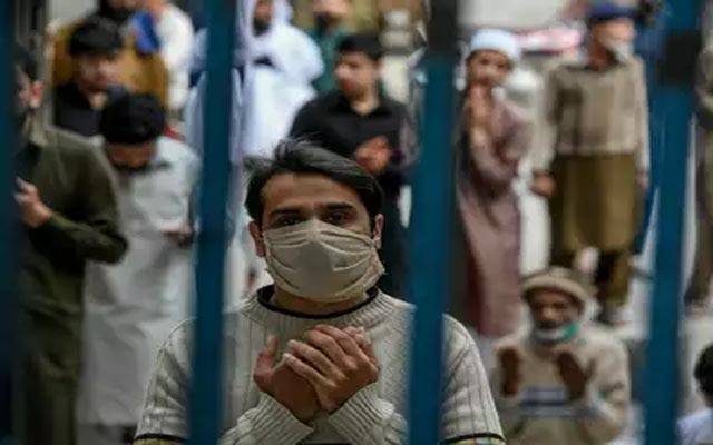 شہر میں کورونا وائرس کے کنفرم مریضوں کی تعداد 291 ہوگئی