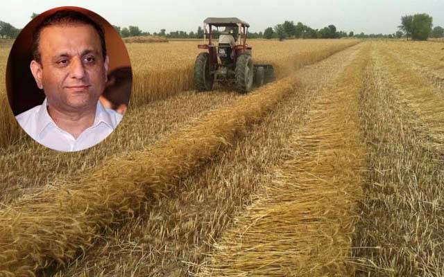 وزیر خوراک نے گندم کی ترسیل روکنے کا نوٹس لے لیا