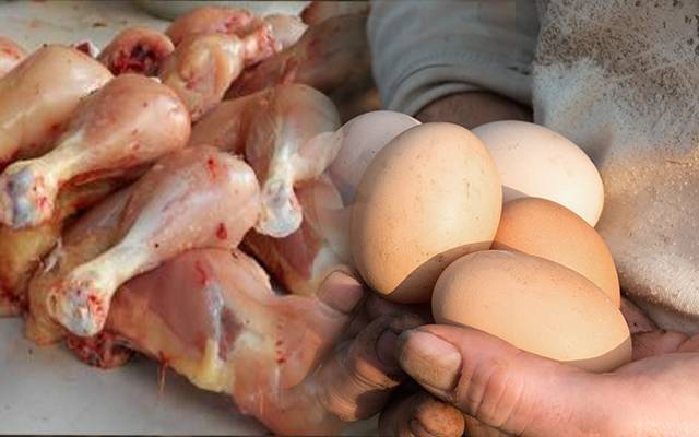 انڈے اور مرغی کی قیمتوں میں حیرت انگیز کمی