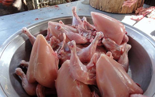 برائلر گوشت کتنے روپے کلو ہوگیا،جانئے