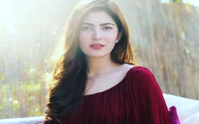 آئیے ہم غلطیوں کو معاف اور ناراضگی کو الوداع کریں: نیمل خاور