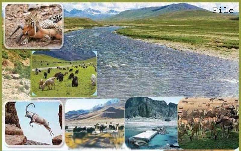 ملک میں 12 قومی پارکس بنانے کا فیصلہ