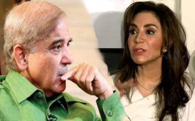 تہمینہ درانی کے گھر سے ایک اور کورونا کیس نکل آیا