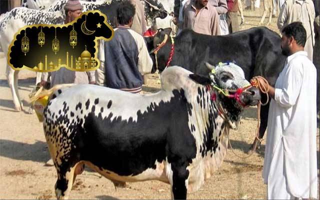 عیدِ قرباں سے 15 روز قبل مویشی منڈیاں لگانے کی ہدایت