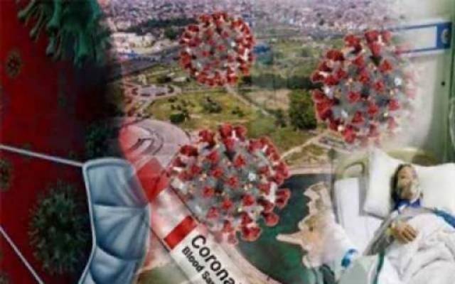 کورونا پازٹیو کیسز 23 فیصد سے کم ہوکر 6 فیصد رہ گئے