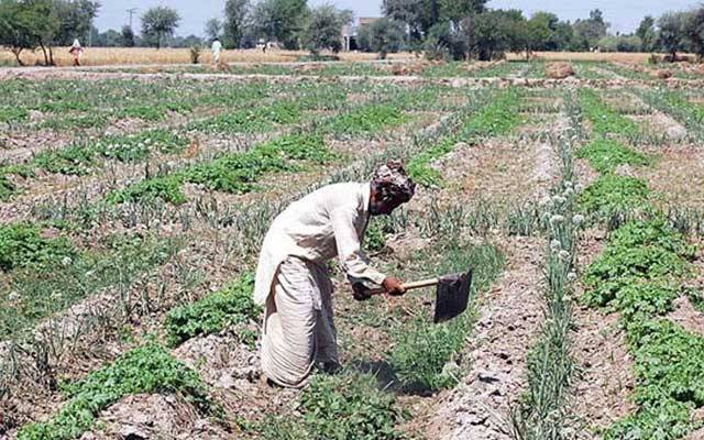 کساںوں کیلئے بڑی خوشخبری