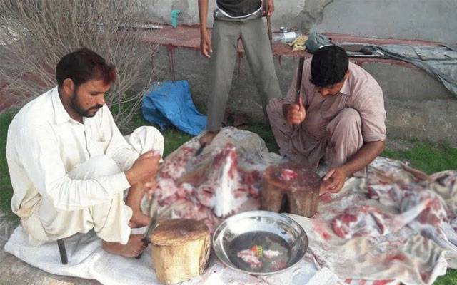 عید قرباں، موسمی قصائی بھی میدان میں آگئے