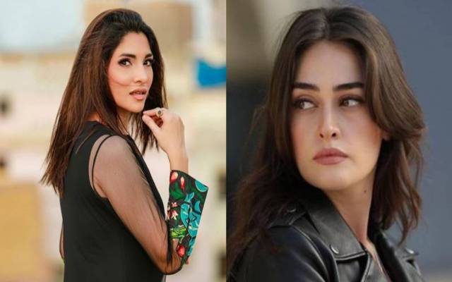 غیر معروف پاکستانی اداکار بھی حلیمہ سلطان کے مخالف بن گئے