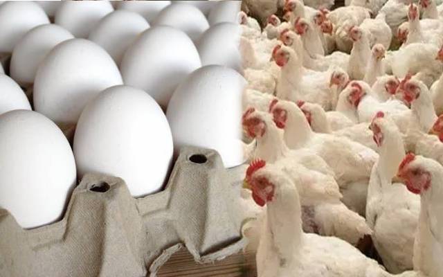 انڈے مہنگے،برائلر گوشت مزید سستا ہوگیا
