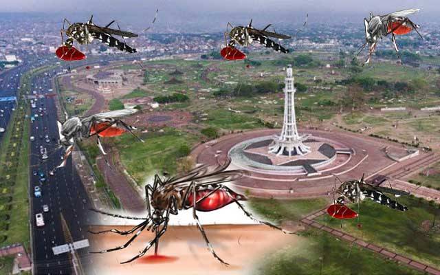 لاہور میں ڈینگی نے خطرے کی گھنٹی بجا دی