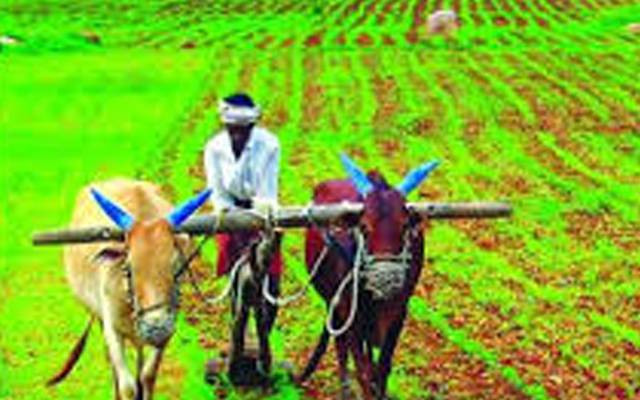 کسان کارڈ جاری کرنے کیلئے 12رکنی کمیٹی قائم