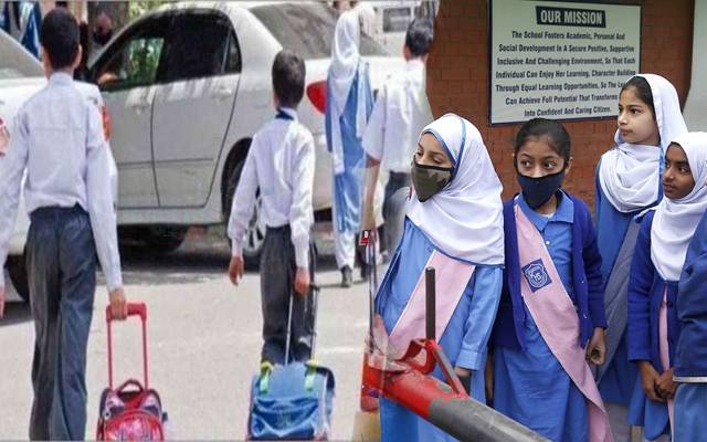 تعلیمی ادارے دوبارہ بند کرنےسےمتعلق وفاقی وزیرتعلیم کی وضاحت