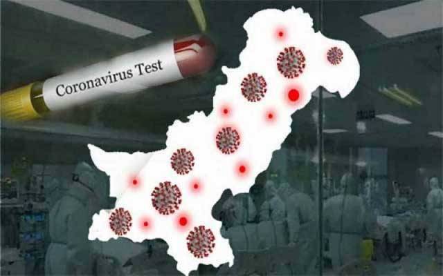  کورونا سے مزید 7 افراد جاں بحق، 798 نئے کیسز رپورٹ