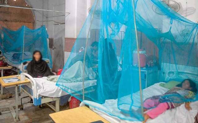 ڈینگی کا خطرہ برقرار، مریضوں کی تعداد میں اضافہ