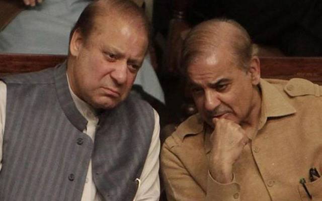 ن لیگی پرندے حکومتی منڈیر پر بیٹھنے لگے