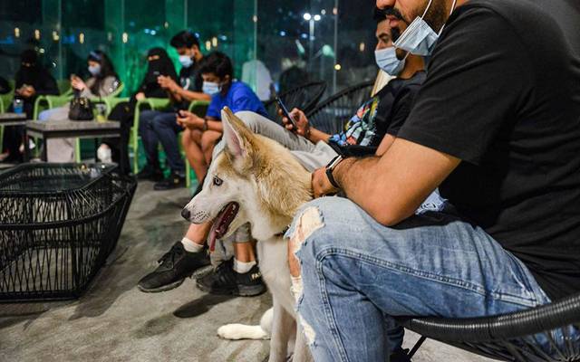 سعودی عرب میں کتوں کیلئے کیفے کھل گیا