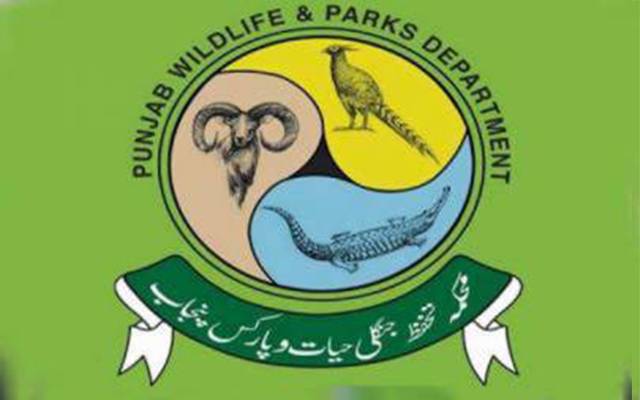 غیرقانونی شکار کی روک تھام کیلئے کام کرنیوالے وارڈنز کے ساتھ محکمے کا ناروا سلوک