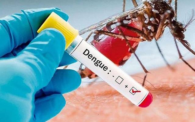  پنجاب میں ڈینگی کا خطرہ بدستور موجود