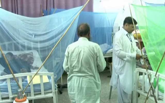 ڈینگی میں اضافہ، الرٹ جاری