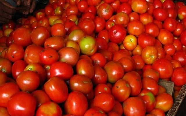 ٹماٹر نے 'ٹرپل سنچری' مکمل کرلی