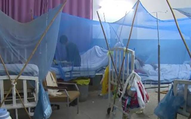 ڈینگی کے وار جاری،مزید کتنے افراد ہسپتال پہنچ گئے؟جانیے