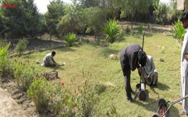  پی ایچ اے کے مظلوم باغبان رُل گئے