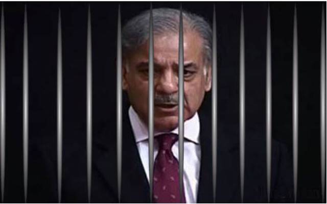 کمردرد میں مبتلا شہبازشریف جیل میں سہولیات نہ ملنے پربرہم،اہم قدم اٹھالیا