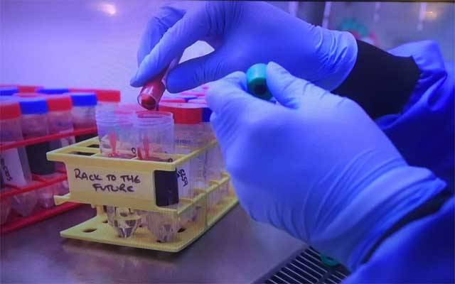  کورونا ویکسین کی تیاری میں مثبت پیشرفت ، سائنسدانوں نے خوشخبری سنادی