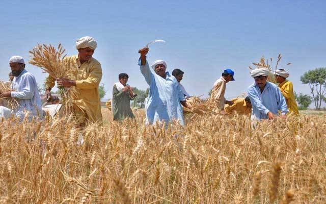 کسانوں کیلئے بڑی خوشخبری
