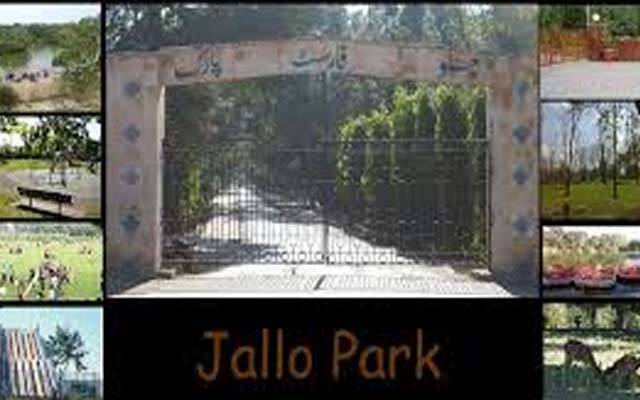  کورونا کے پیش نظر ، پارک میں کلاسز کا آغاز کردیا گیا