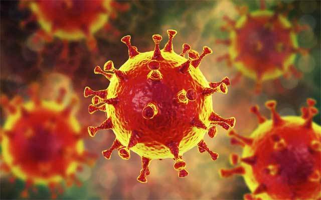  کورونا سے متعلق خبریں دینےوالی خاتون صحافی کو قید کی سزا